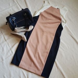 Ann Taylor Dress